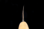 Jin 239mm High Speed Steel Deba with Saya D-19