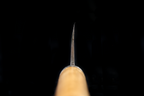 Jin 218mm High Speed Steel Deba with Saya D-20
