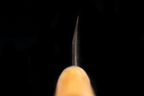 Jin 233mm High Speed Steel Deba with Saya D-17