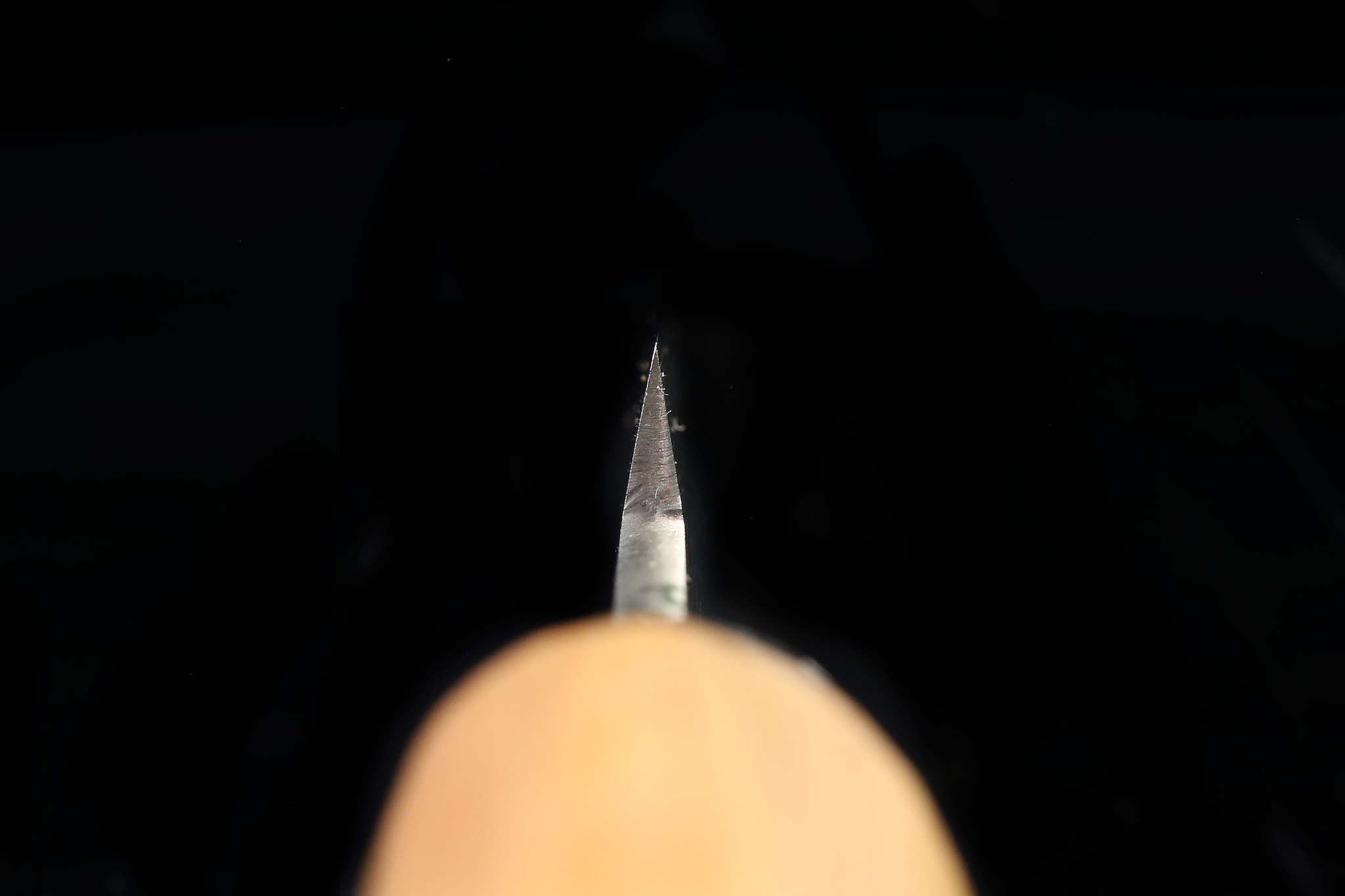 Jin 261mm High Speed Steel Yanagiba with Saya Y-75