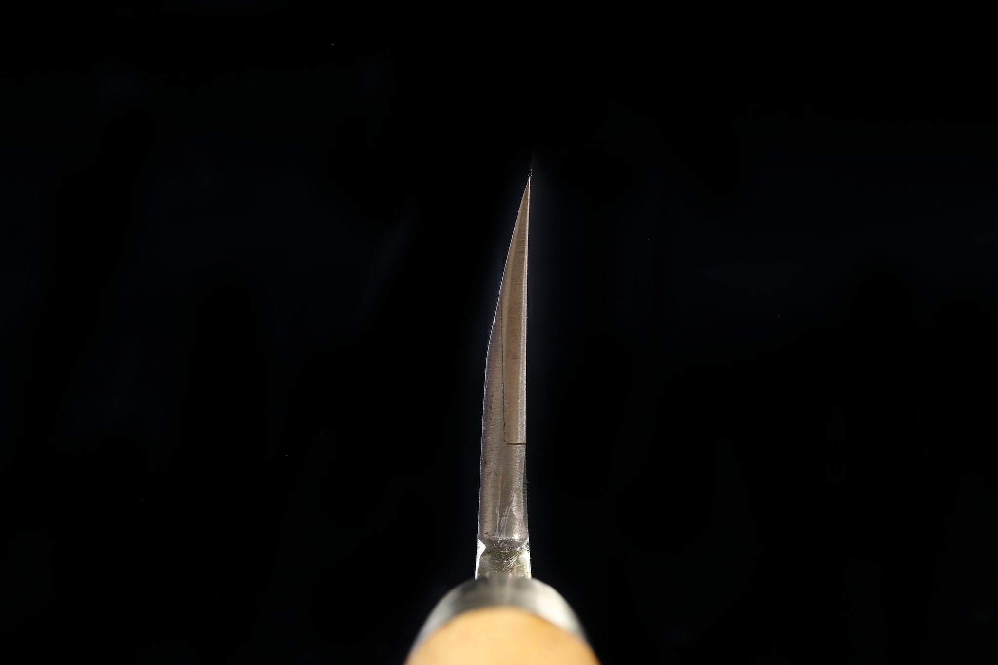 Jin 220mm High Speed Steel Deba with Saya D-29