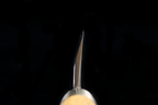 Jin 243mm High Speed Steel Mioroshi Deba with Saya MD-68