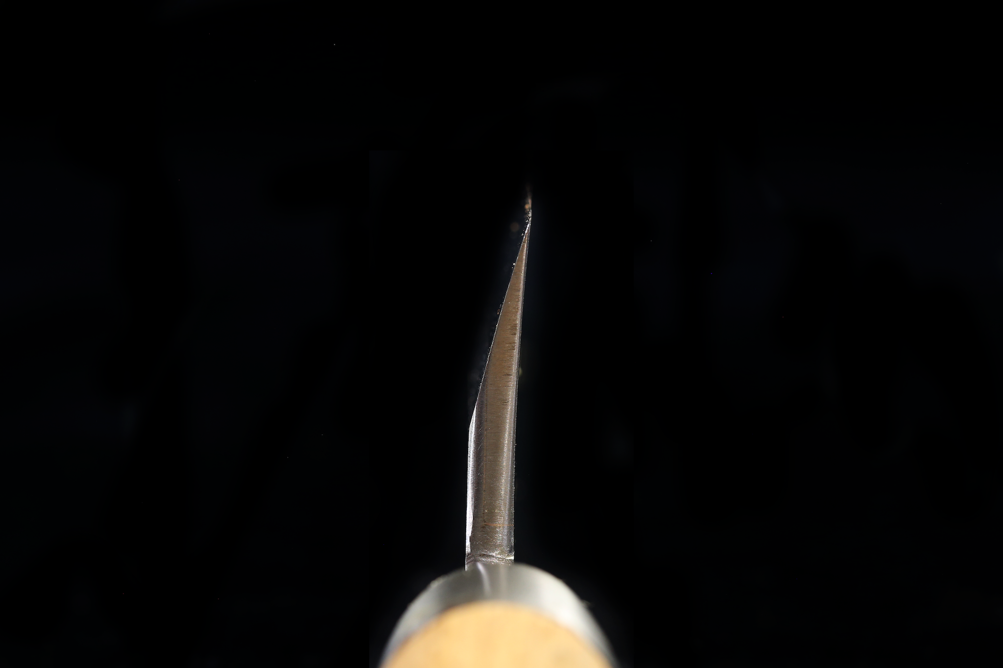 Jin 243mm High Speed Steel Mioroshi Deba with Saya MD-68
