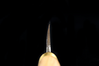 Jin 226mm High Speed Steel Yanagiba with Saya Y-77