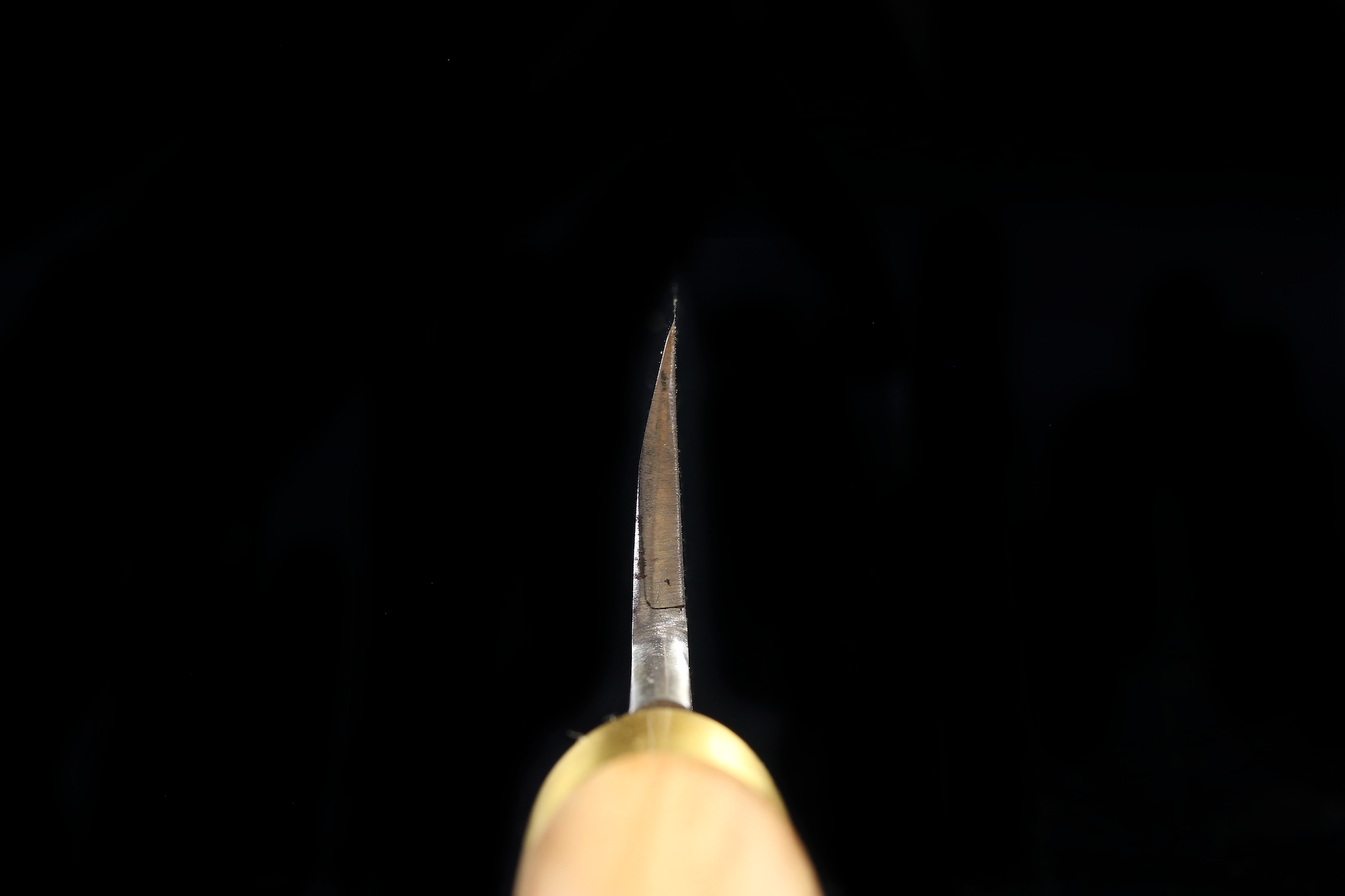 Jin 226mm High Speed Steel Yanagiba with Saya Y-77