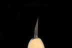 Jin 215mm High Speed Steel Mioroshi Deba with Saya MD-49