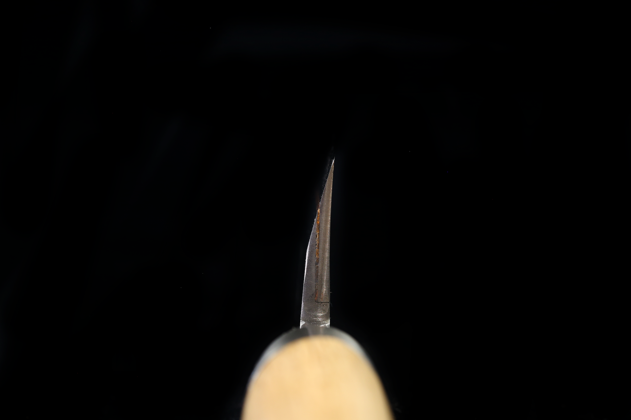 Jin 215mm High Speed Steel Mioroshi Deba with Saya MD-49