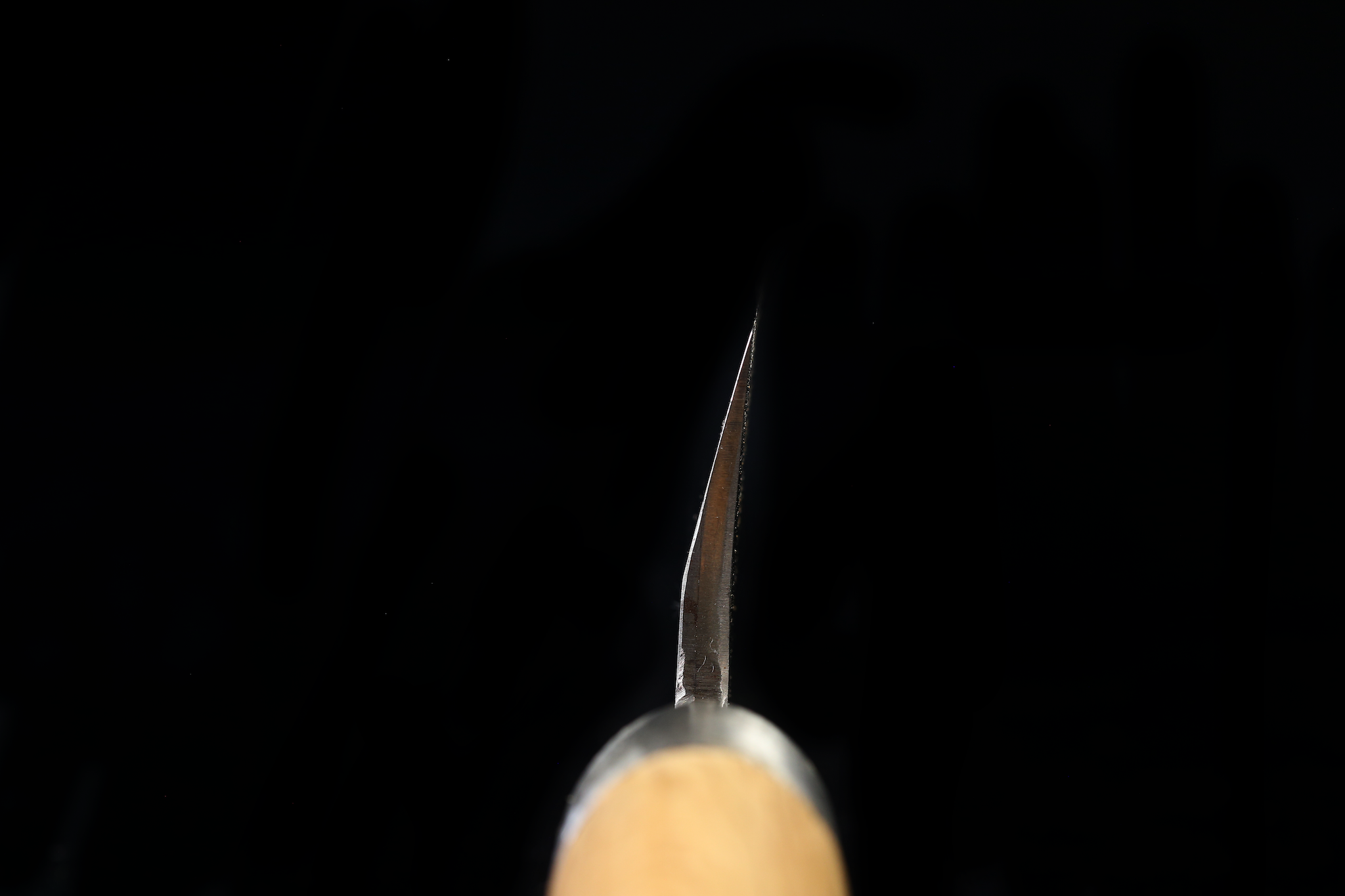 Jin 208mm High Speed Steel Mioroshi Deba with Saya MD-62