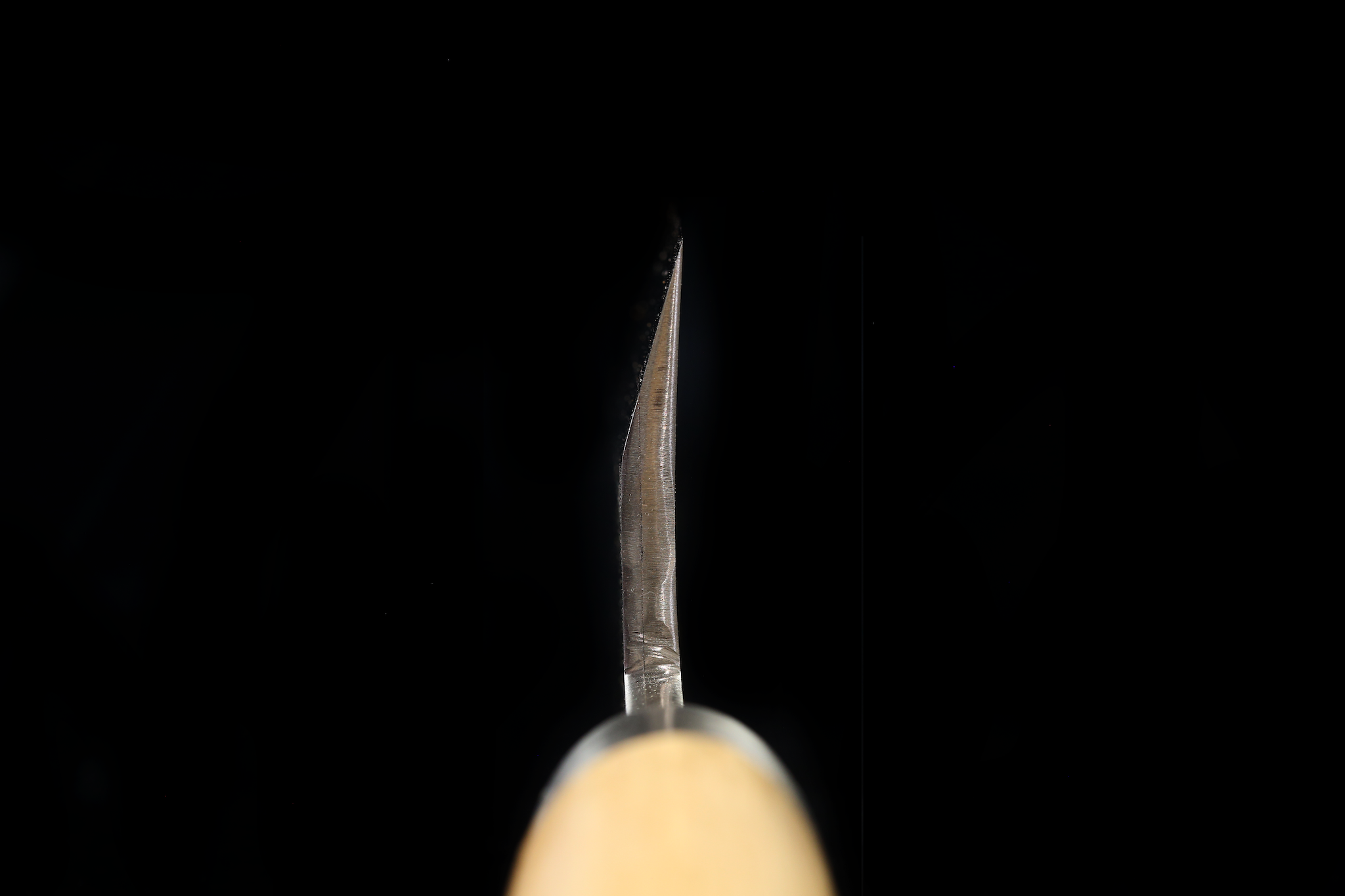 Jin 213mm High Speed Steel Mioroshi Deba with Saya MD-53