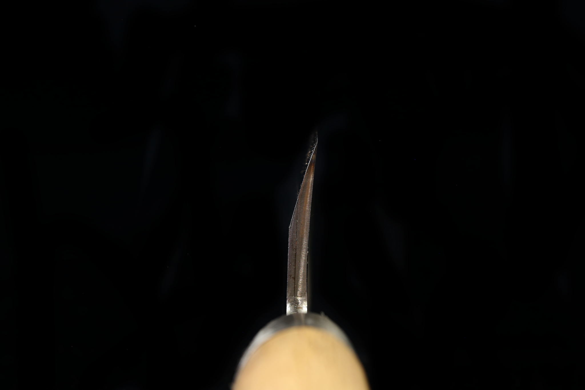 Jin 209mm High Speed Steel Mioroshi Deba with Saya MD-60