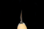 Jin 213mm High Speed Steel Mioroshi Deba with Saya MD-55