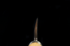 Jin 216mm High Speed Steel Mioroshi Deba with Saya MD-64