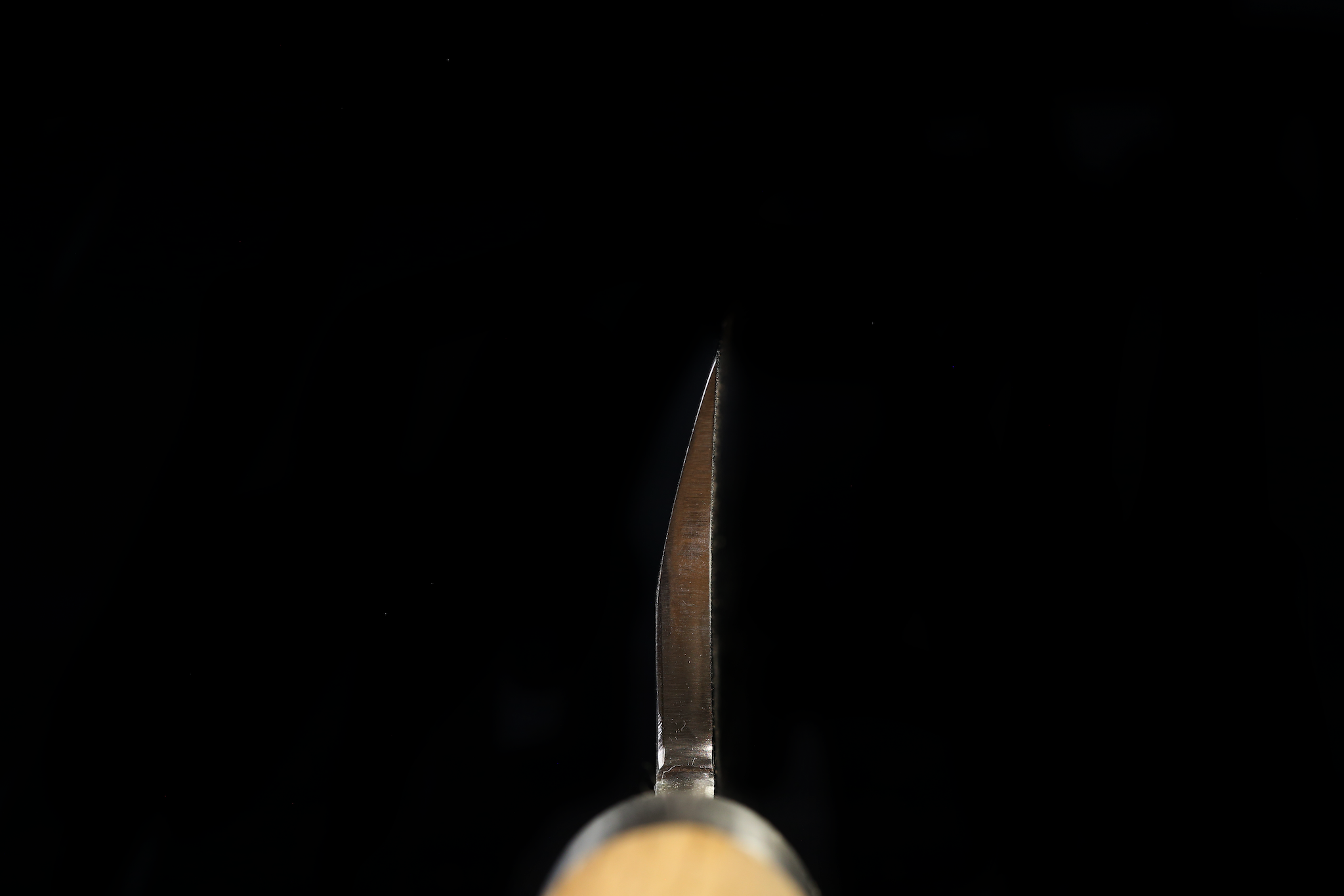Jin 216mm High Speed Steel Mioroshi Deba with Saya MD-64