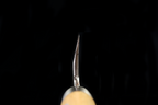 Jin 203mm High Speed Steel Mioroshi Deba with Saya MD-59