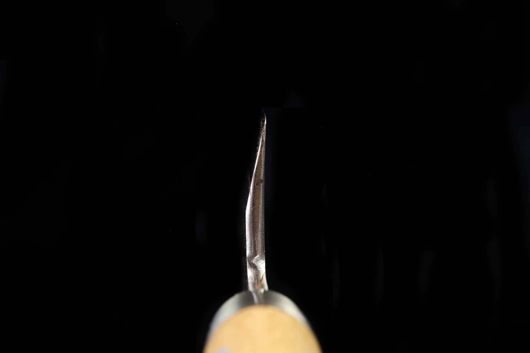 Jin 203mm High Speed Steel Mioroshi Deba with Saya MD-59