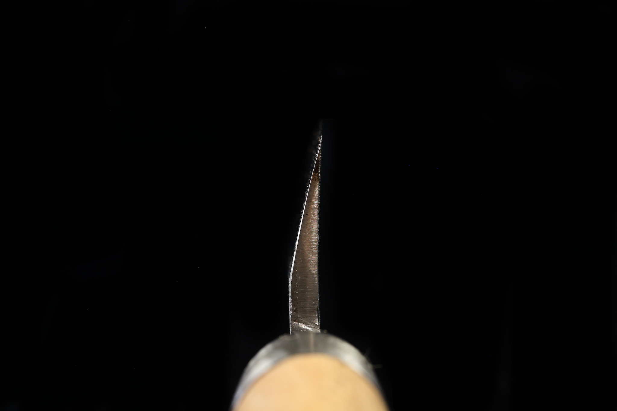 Jin 219mm High Speed Steel Mioroshi Deba with Saya MD-63
