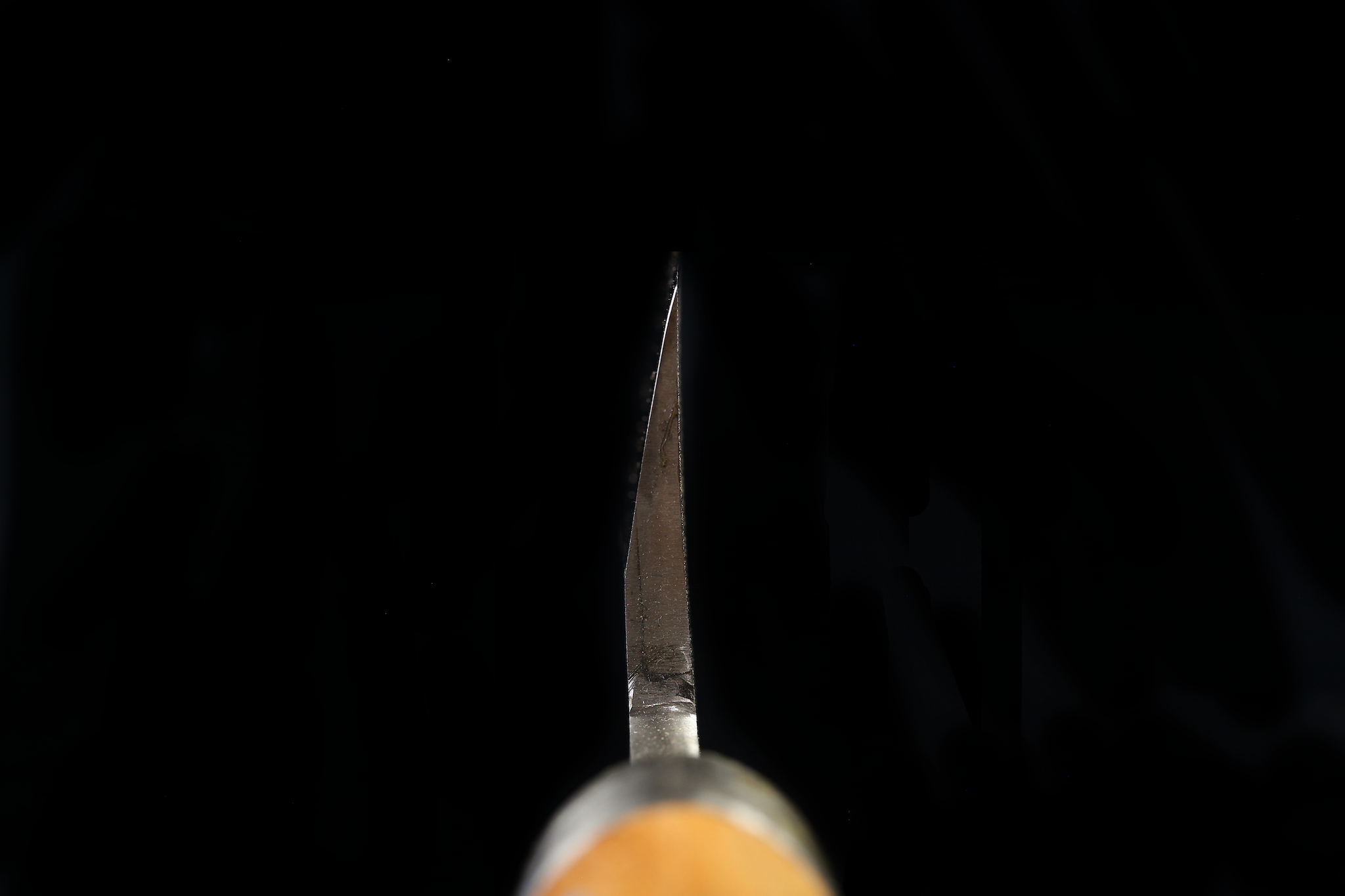 Jin 217mm High Speed Steel Mioroshi Deba with Saya MD-58