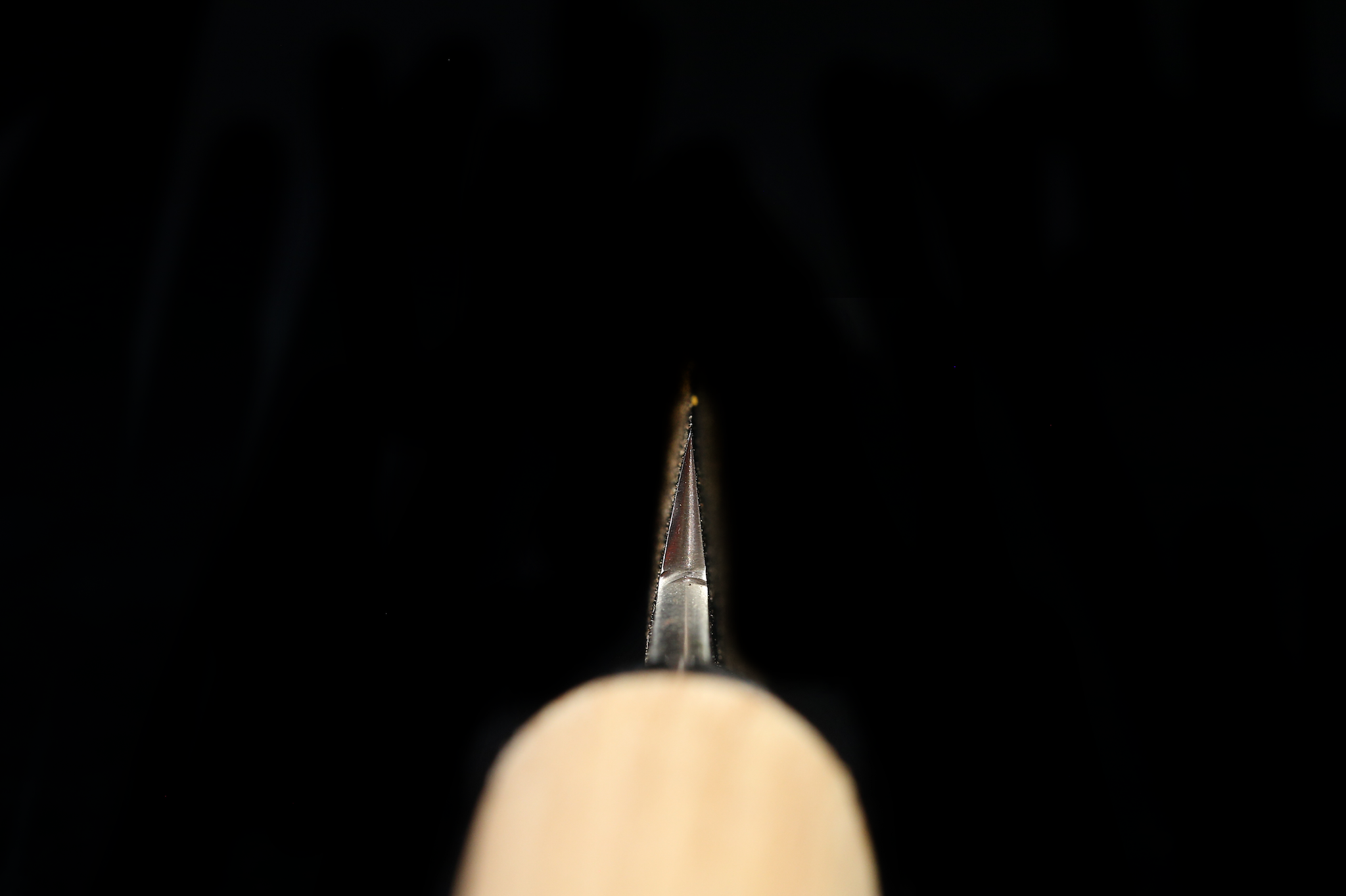 Jin 281mm High Speed Steel Yanagiba with Saya Y-69