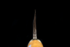 Jin 291mm High Speed Steel Deba with Saya D-25