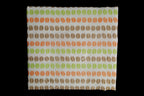 Yuzen Fukin - Coffee Beans (Orange)