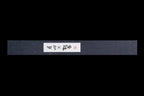 Gesshin Ginga 270mm Stainless Wa-Sujihiki/Takobiki Hybrid