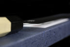 Gesshin Ginga 270mm Stainless Wa-Sujihiki/Takobiki Hybrid