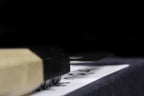 Gesshin Ginga 100mm Stainless Wa-Petty