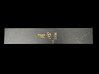 Gesshin Stainless 240mm Wa-Gyuto