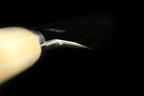 Jin 200mm High Speed Steel Deba with Saya D-10