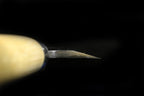 Jin 210mm High Speed Steel Mioroshi Deba with Saya MD-19