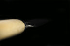 Jin 200mm High Speed Steel Ko-Yanagiba with Saya P-16