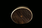 Jin 220mm High Speed Steel Ko-Yanagiba with Saya P-17