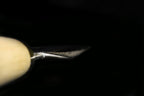 Jin 195mm High Speed Steel Mioroshi Deba with Saya P-19