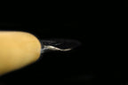 Jin 190mm High Speed Steel Ko-Yanagiba with Saya P-02
