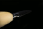 Jin 230mm High Speed Steel Ko-Yanagiba with Saya P-25