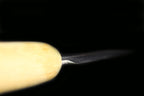 Jin 210mm High Speed Steel Ko-Yanagiba with Saya P-46