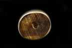 Jin 205mm High Speed Steel Ko-Yanagiba with Saya P-50