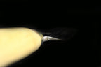 Jin 205mm High Speed Steel Ko-Yanagiba with Saya P-54