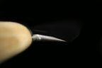 Jin 270mm High Speed Steel Yanagiba with Saya Y-13