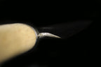 Jin 270mm High Speed Steel Kensaki Yanagiba with Saya Y-17