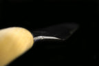 Jin 250mm High Speed Steel Yanagiba with Saya Y-19