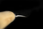 Jin 265mm High Speed Steel Yanagiba with Saya Y-43