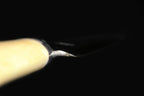 Jin 285mm High Speed Steel Mioroshi Deba with Saya Y-61