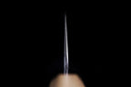 En 210mm Ginsanko Kiritsuke Wa-Gyuto