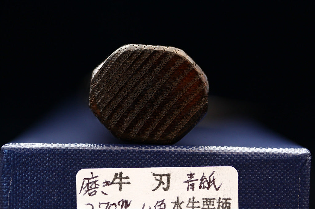 Kochi 270mm Migaki Wa-Gyuto