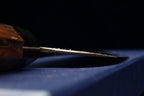 Kochi 270mm Migaki Wa-Gyuto