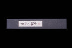 Gesshin Ginga 150mm Carbon Honesuki
