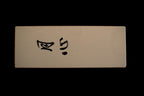Gesshin 600 Resinoid Stone