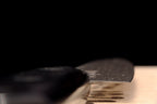 Gesshin Stainless 120mm Petty