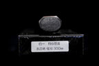 Gesshin Kagekiyo 300mm White #1 Yanagiba